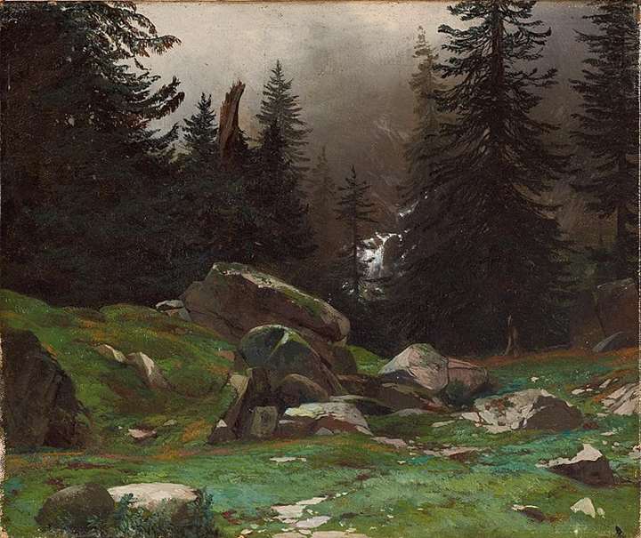 Forest scene with a waterfall, Bernese Oberland